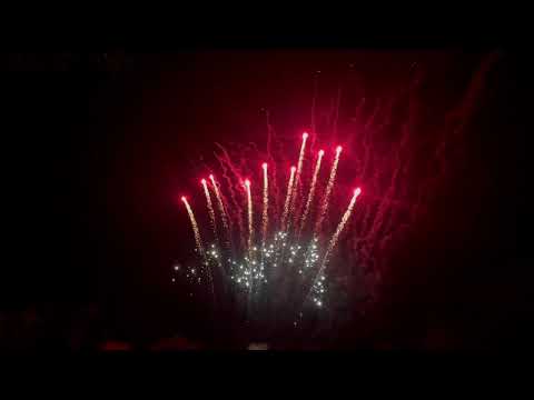 5322   Red tiger tails and blink fan