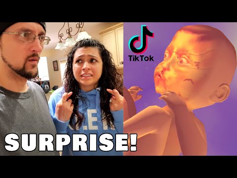 FV FAMILY PREGNANT again!