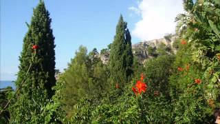 Keep me  - by Vineyard - Free to fly