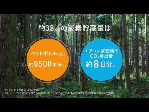  Storm Ciaran: 滑りやすい木製デッキに対処するための 6 つの専門家による滑り止めのヒント  庭園