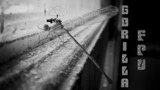 210mm MiniQuad: Leg Stretchin