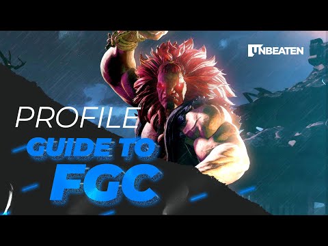 A viewer's guide to watching Fighting Game Esports