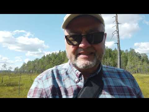 PITKOSPUILLA PATVINSUOLLA, matkalla pohjoiseen