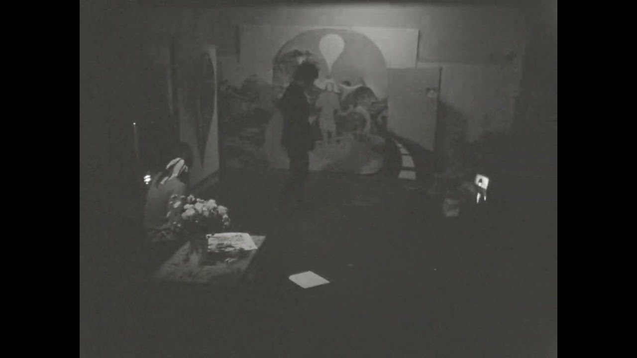 Frank Eidlitz Collection: Brett Whiteley (original footage)