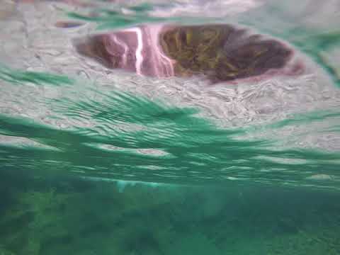 Riprese sott'acqua della Cascata Ampola  19-08-17