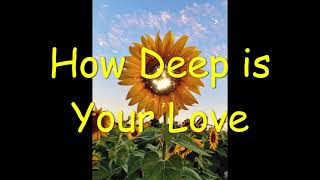 HOW DEEP IS YOUR LOVE - The Bird and The Bee (Lyric Video)