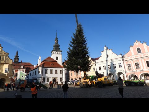 PELHŘIMOV: Vánoční strom 🎄 2025