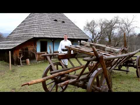 Petrica Muresan - Ai, viata amara