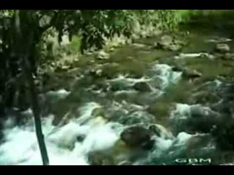 louvar seu nome sempre 2