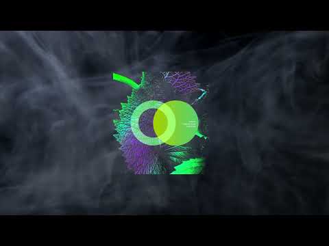 VANTIZ & Nobody Else - Nobody (Original Mix)