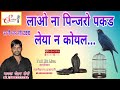 ऊत जी का धमाका के दार भजन चेतन सैनी Sarthak St