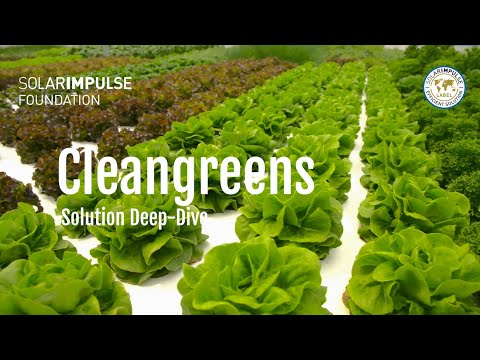 Solution Deep-Dive: Cleangreens