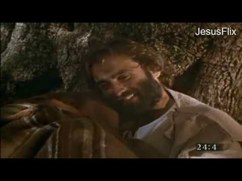 ► Jesús Dijo Esto Hace 2000 Años Sobre : El Fin del Mundo y Su Regreso (Segunda Venida)