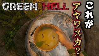 アヤワスカは禁断の薬...？ 【Green Hell】 #4