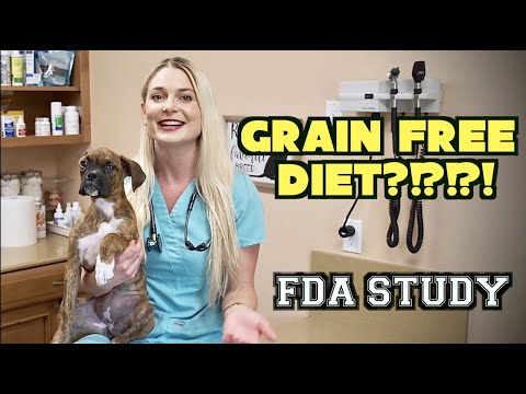 The Grain Free Diet scare? | FDA Study