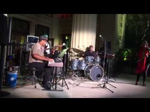 We Walk We Fly (Dawn Norfleet) - Dawn Norfleet Band, Nick Smith solo