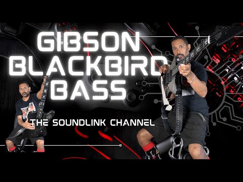 Gibson USA Nikki Sixx Signature "Blackbird" Bass Guitar w/ OHSC 2001 — Limited Edition image 18