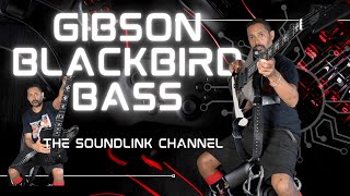 Video thumbnail for Exclusive Gibson Blackbird - LTD Nikki Sixx Review w/ Case by THE SOUNDLINK