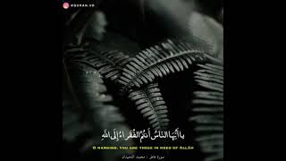 افضل التلاوات القصيرة