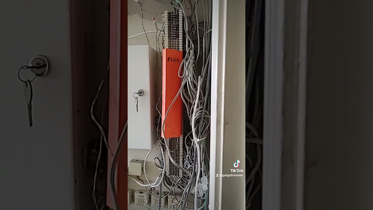 BRB, Checking the #network Logs 😂💩