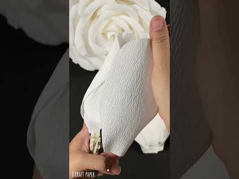 How to make beautiful big white rose flowers with crepe paper #sorts #icraftpaper #asmr #handmade
