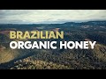 Brazilian Organic Honey