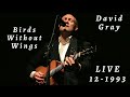 David Gray - Birds Without Wings (Live, acoustic - December 18, 1993 at The Wetlands, New York)