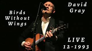 David Gray - Birds Without Wings (Live, acoustic - December 18, 1993 at The Wetlands, New York)