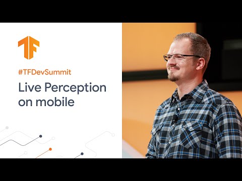 ライブ知覚のためのMLソリューション (TF Dev Summit '20) (ML solutions for Live Perception (TF Dev Summit '20))