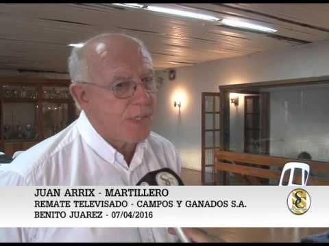 07-04-16 Nota Juan Arrix - Campos y Ganados S.A. - Remate T.V. - B. Juarez.