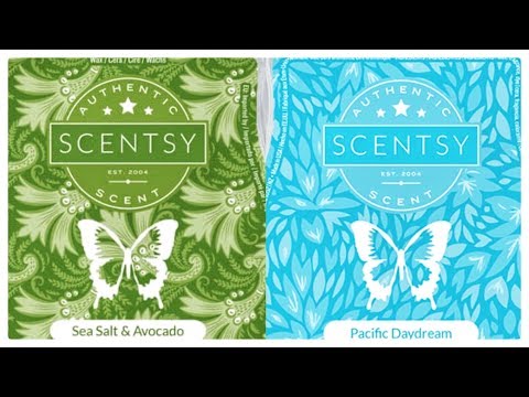 download lagu mp3 mp4 Sea Salt Avocado Scentsy Review, download lagu Sea Salt Avocado Scentsy Review gratis, unduh video klip Sea Salt Avocado Scentsy Review