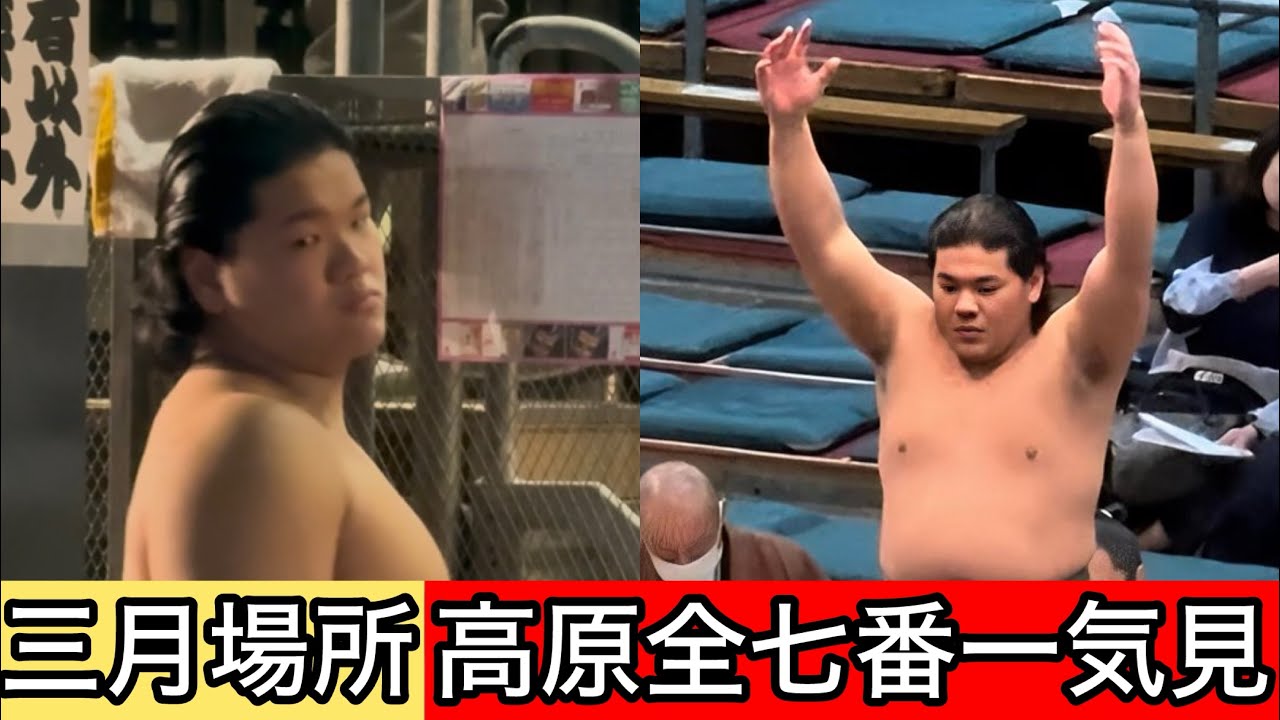 駆け上がる若武者！二子山部屋高原 三月場所全七番一気見