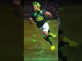 The Springboks Are Here