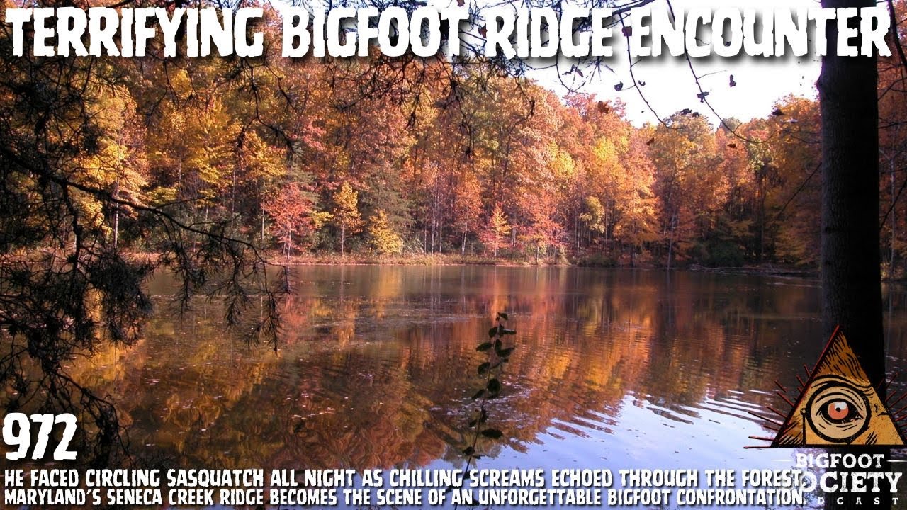 Anthropologist Encounters Sasquatch on Maryland’s Seneca Creek Ridge and Faces Pure Terror