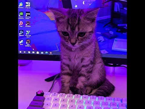 [FREE FOR PROFIT] sqwore x 17 seventeen x midix type beat "ending" hyperpop type beat