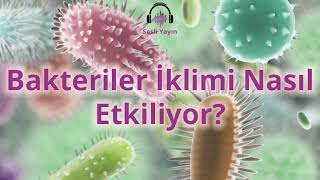 Bakteriler İklimi Nasıl Etkiliyor?