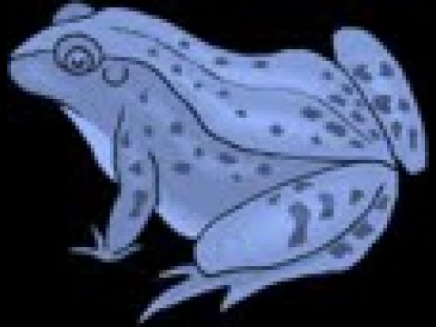 Frog Jump
