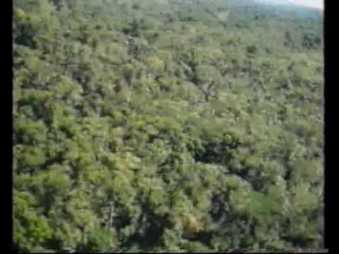 Campanha da Fraternidade 2007