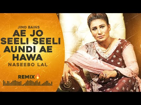 Jind Bains | Ae Jo Seeli Seeli Aundi Ae Hawa | Naseebo Lal | Latest Punjabi Sad Song Remix 2023