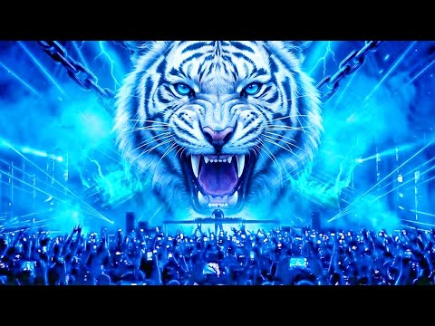 Tomorrowland 2026 - Tiesto, Paul van Dyk, Ferry Corsten, W&W & Maddix | LIVE Shockwave