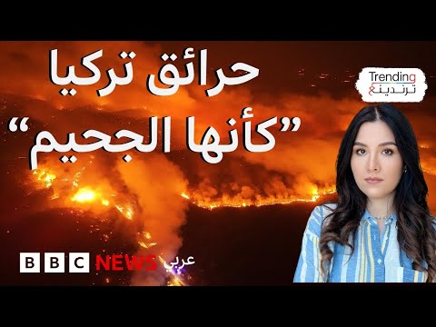 فيديو | حرائق غابات هائلة في تركيا.. فكيف تعمل السلطات على احتوائها؟