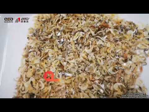 AMD Kunpeng Series AI Sorter Machine for Dehydrated Dried Shrimp Sorting