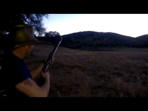 Mosin Nagant in the evening