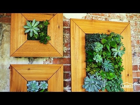 DIY縦型多肉植物園 (DIY Vertical Succulent Garden)