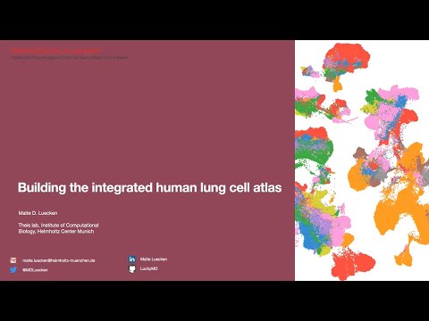 SCOG Virtual Lecture Series - Malte Luecken (Theis lab, ICB/HMGU, Munich)