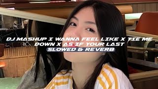 Download lagu DJ MASHUP I WANNA FEEL LIKE X TIE ME DOWN X AS IF YOUR LAST SLOWED & REVERB STYLE KONDANG  mp3