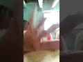 Bangali Narsing Jagar Nishni Pori Gadwal Shri Darshan Lal Dhami Ji