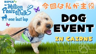 【ケアンズ】ハナコ大活躍！ケアンズのドッグイベントに参加してきました！