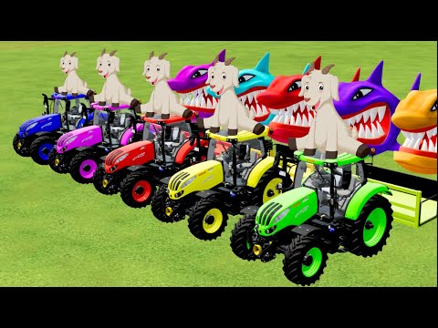 TRANSPORTING SHEEPS WITH PORSCHE MINI TRACTORS & HARVESTING - Farming Simulator 22