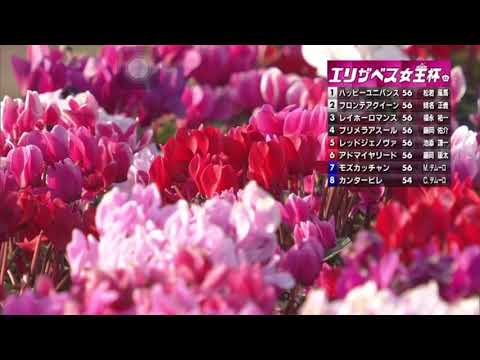 エリザベス女王杯2018 結果